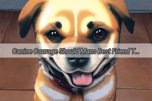 Canine Courage Should Mans Best Friend Take Up Arms in Military Service